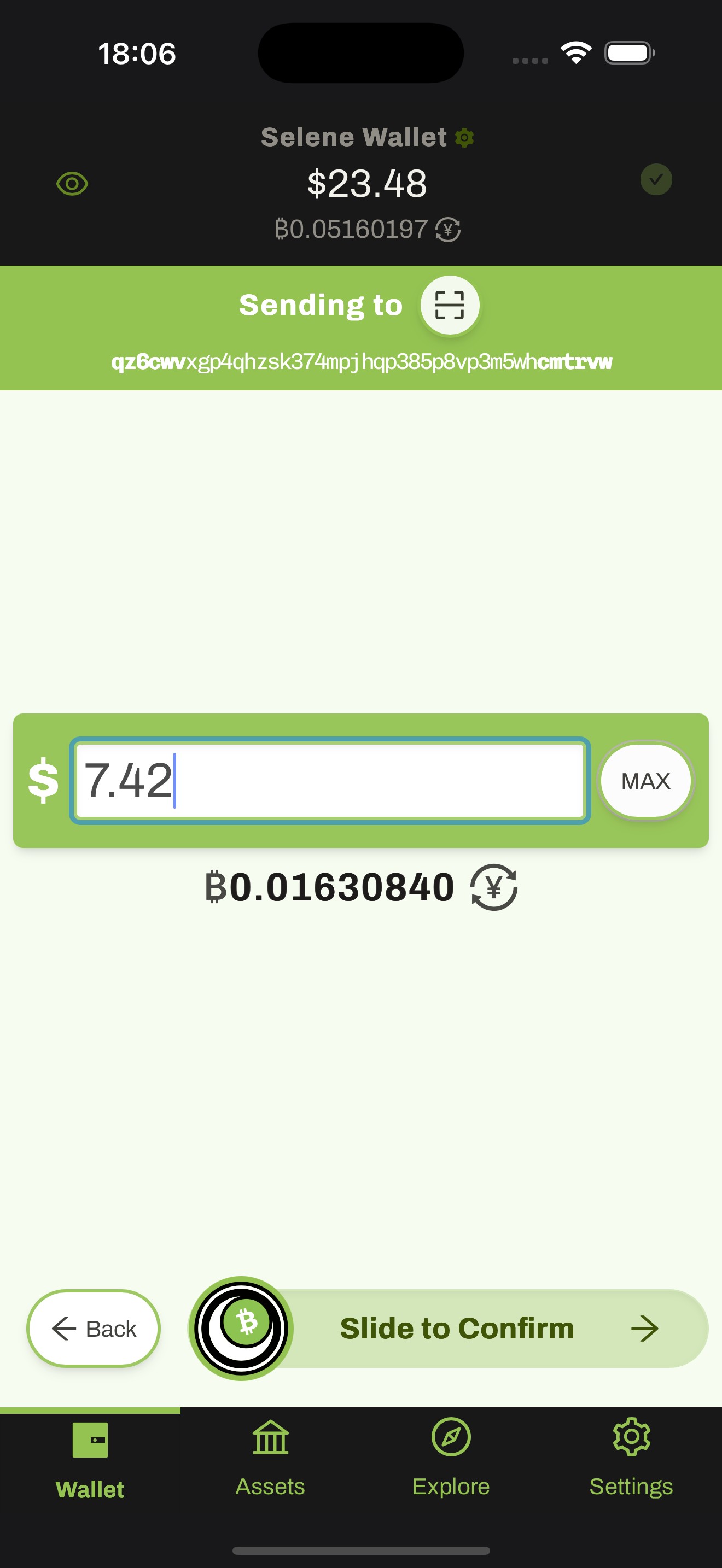 Selene Wallet screenshot 2