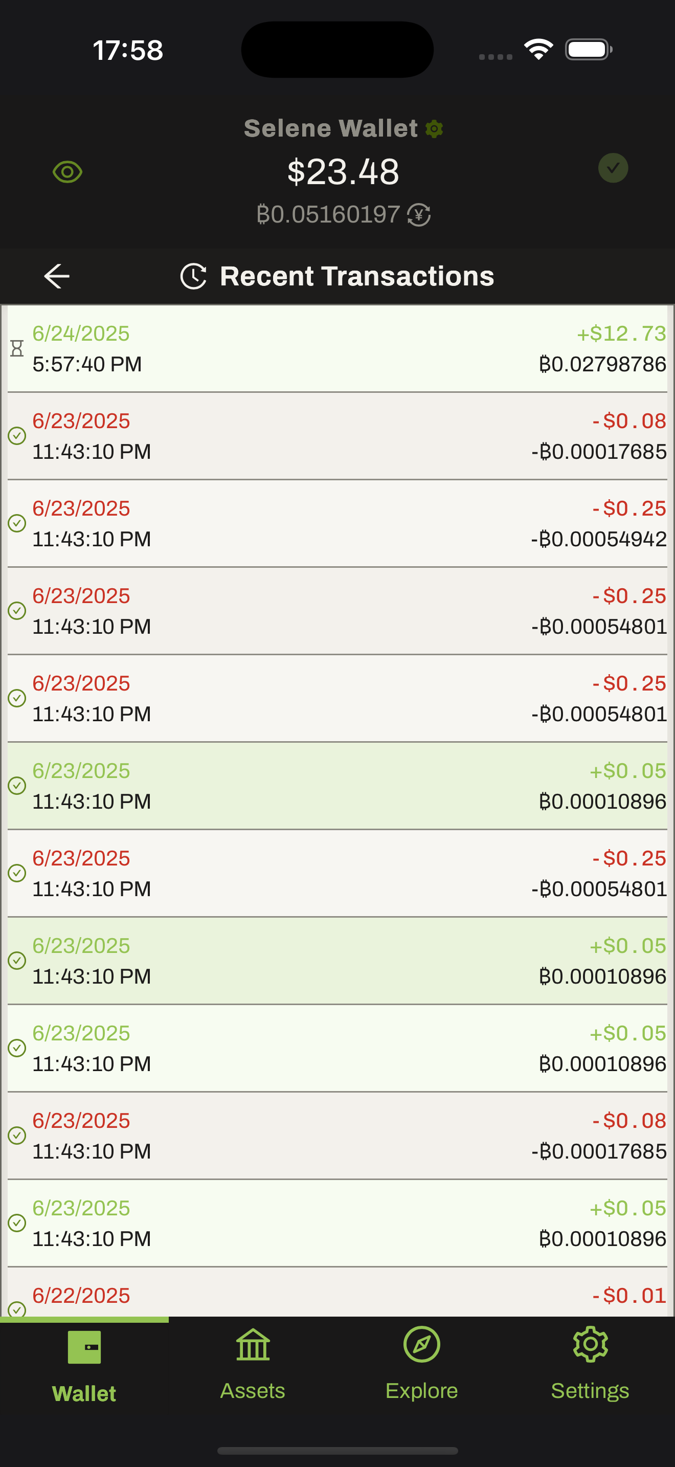 Selene Wallet screenshot 6